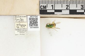 Media type: image;   Entomology 798664 Aspect: Labels